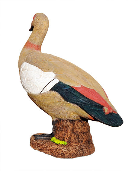 Wildcrete Ägyptische Gans