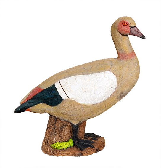 Wildcrete Ägyptische Gans