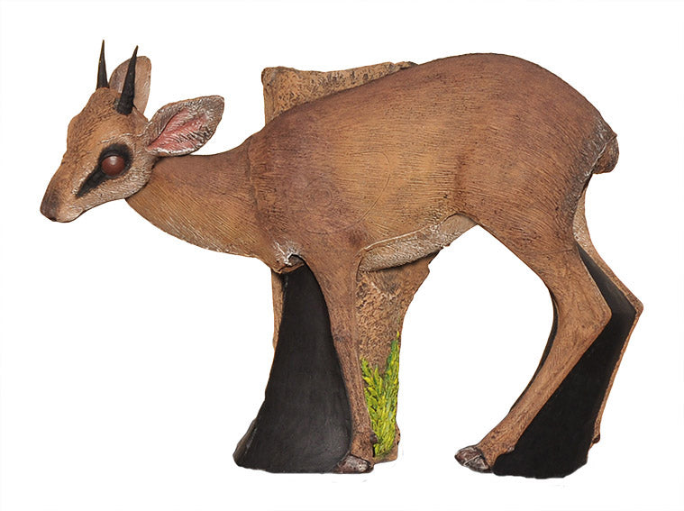 Wildcrete Damara Dik-Dik