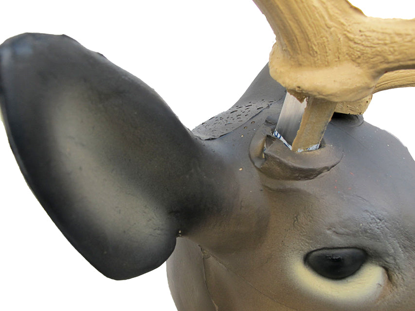 SRT Damhirsch melanche