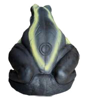 SRT Schwarzer Frosch