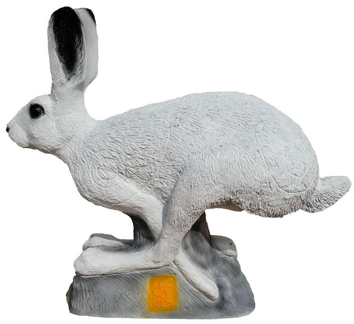 SRT laufender Schneehase