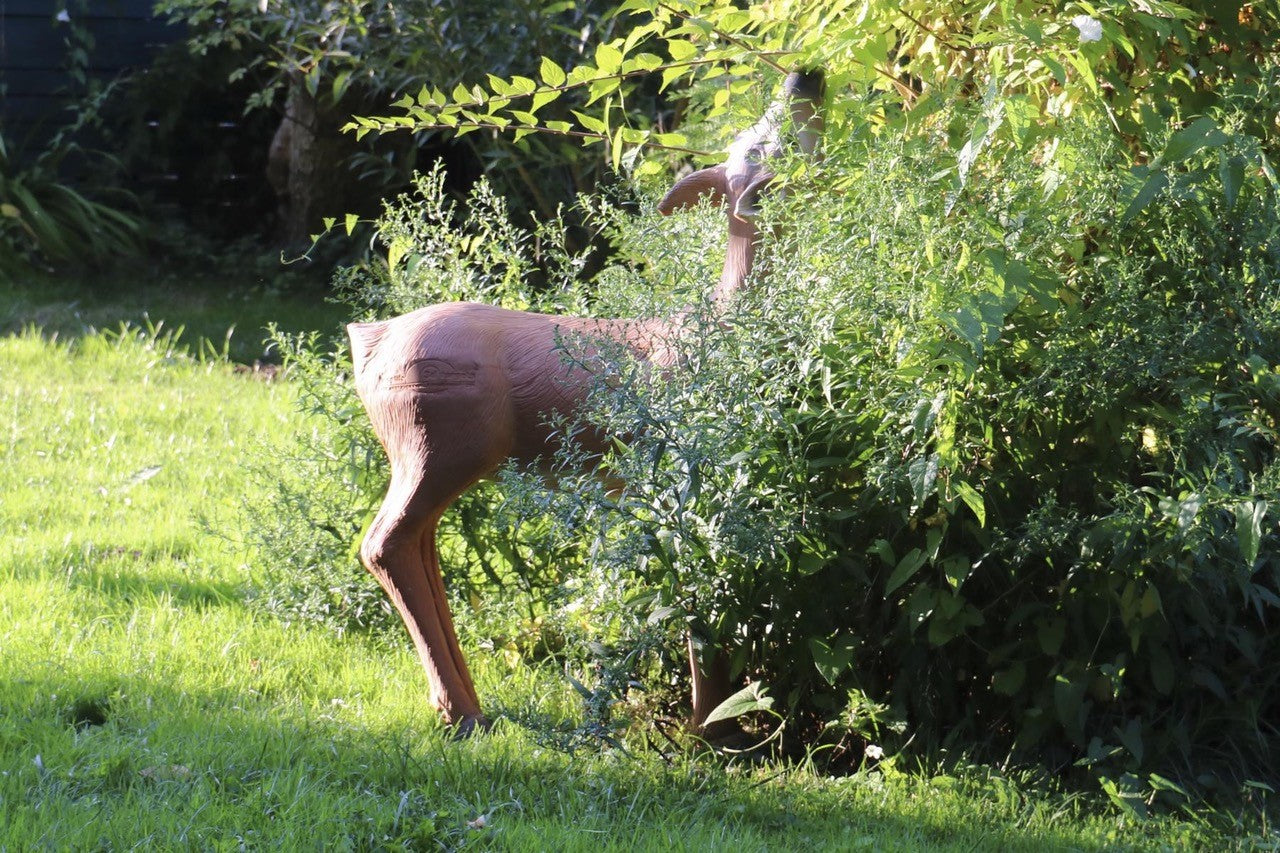 Longlife Reh äsend