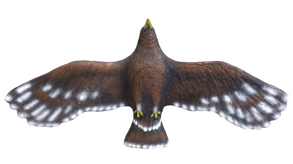 Leitold, Steinadler fliegend