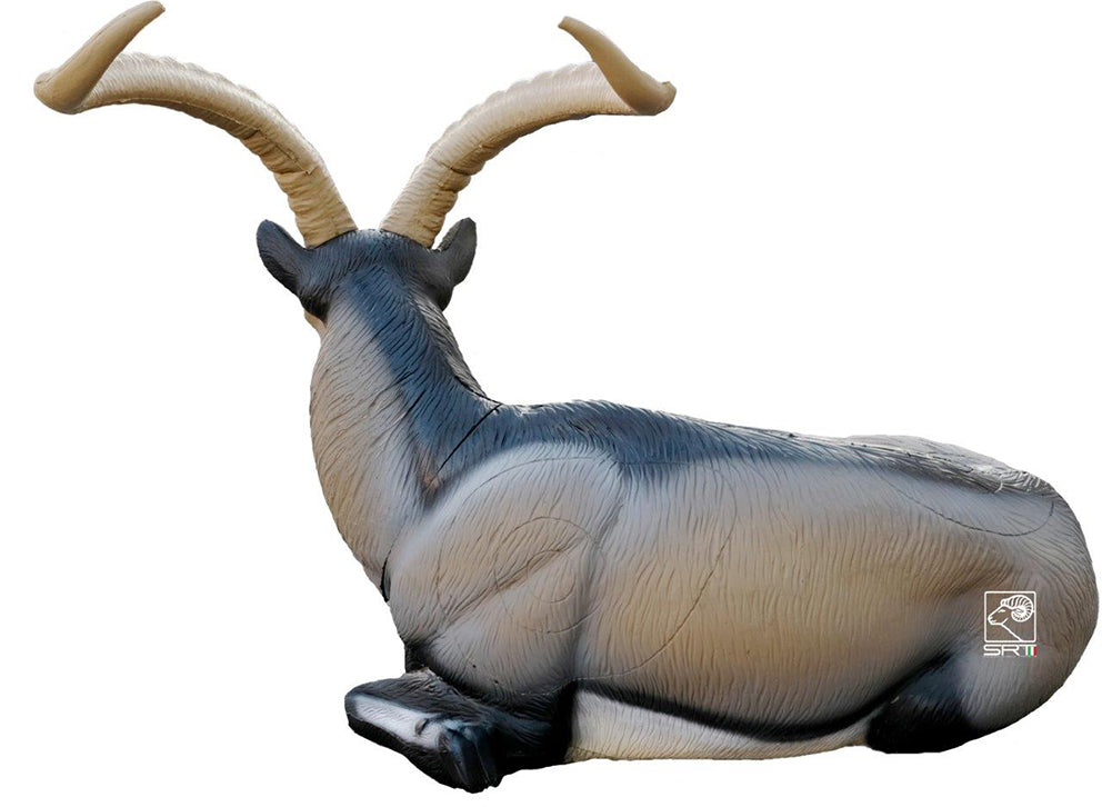 SRT Iberischer Steinbock liegend