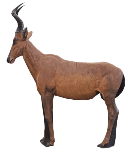 Wildcrete Kuhantilope