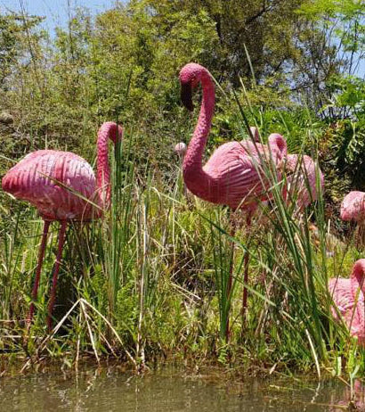 Wildcrete Flamingo stehend