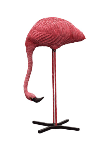 Wildcrete Flamingo fressend