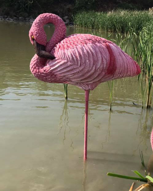 Wildcrete Flamingo schlafend