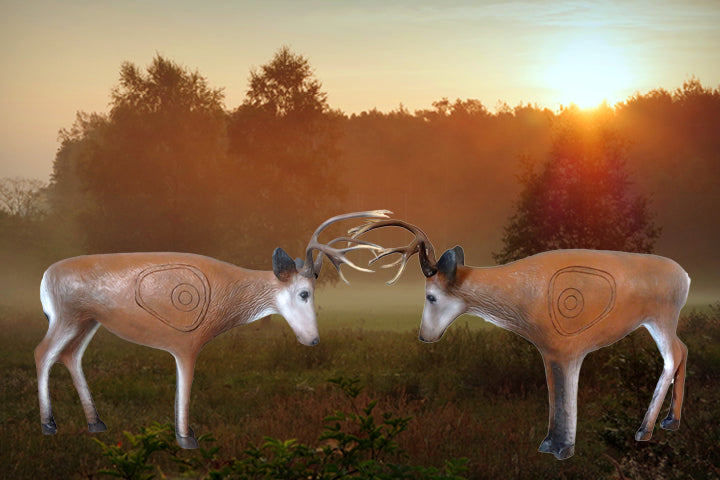 Leitold, Junger Hirsch kämpfend