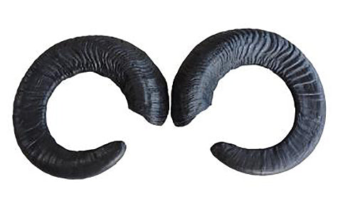 Leitold, 1 Paar Mufflon Hörner