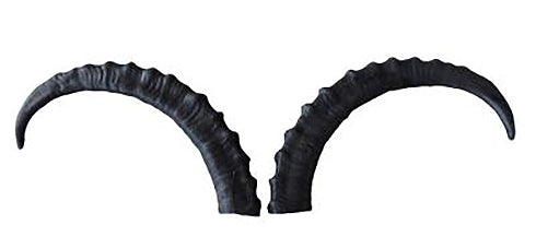 Leitold, 1 Paar Steinbock Hörner