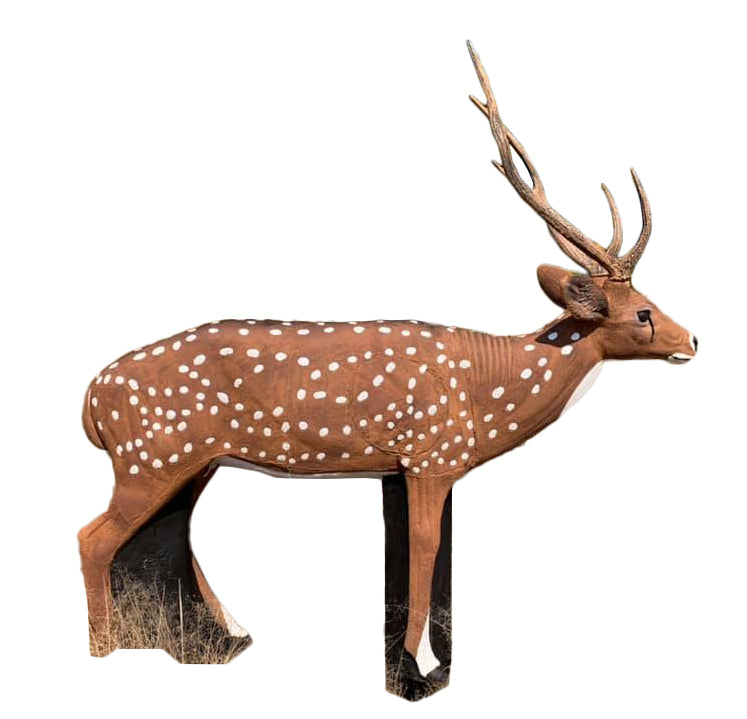 Wildcrete Axishirsch