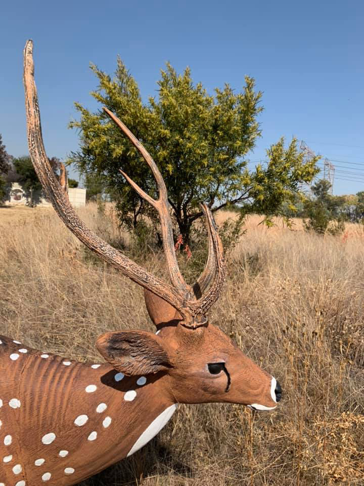 Wildcrete Axishirsch