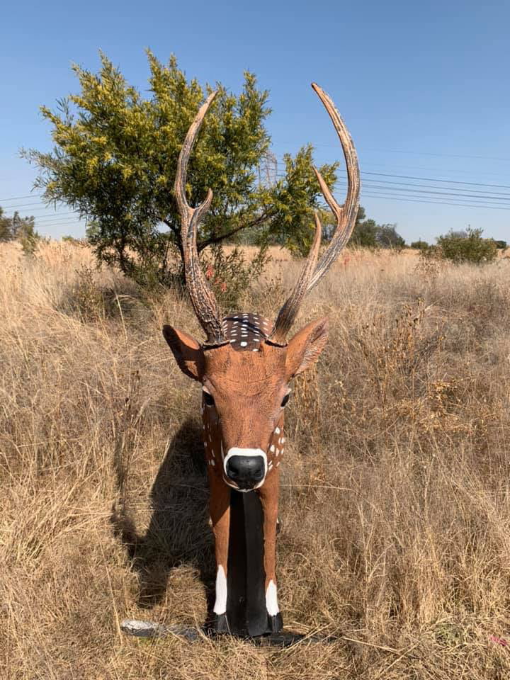 Wildcrete Axishirsch