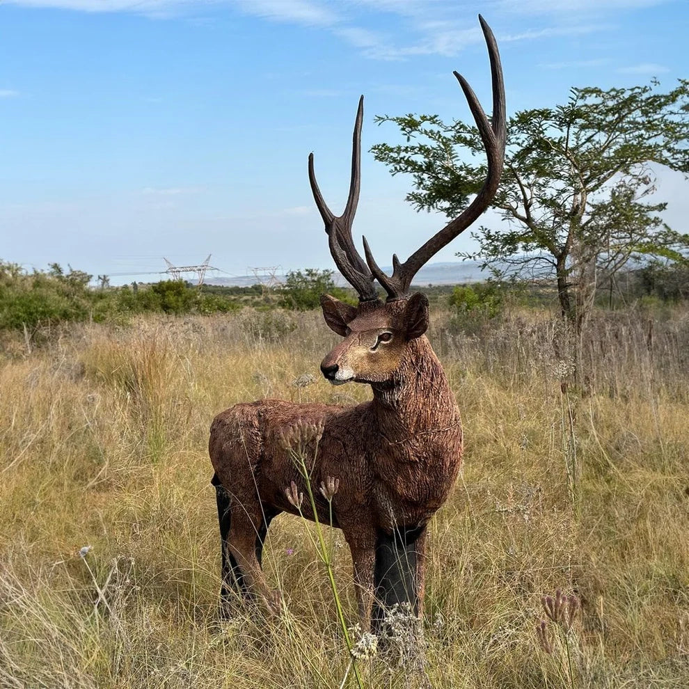 Wildcrete Rusa Hirsch