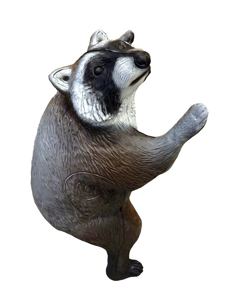 Leitold, Waschbär kletternd