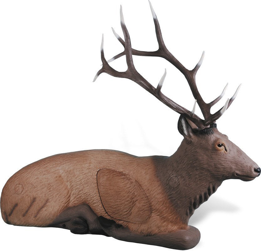 Rinehart Wapiti liegend