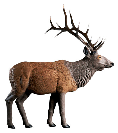 Rinehart Wapiti stehend