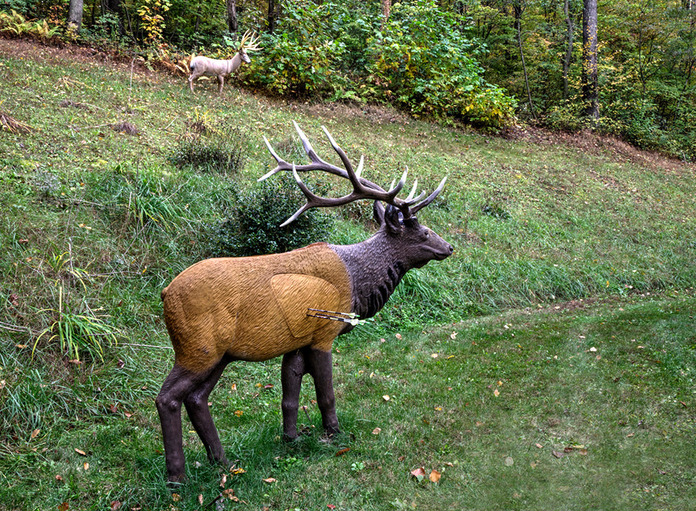 Rinehart Wapiti stehend