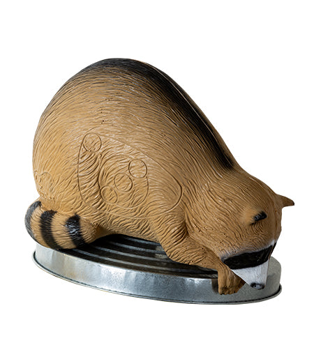 Rinehart Waschbär auf Nahrungssuche