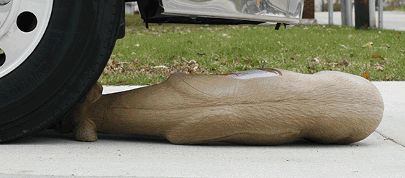 Rinehart Stegosaurus