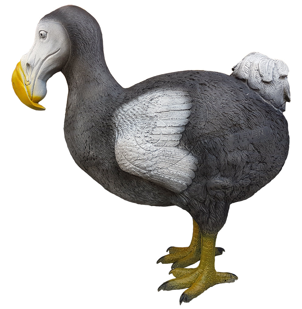 Eleven Dodo