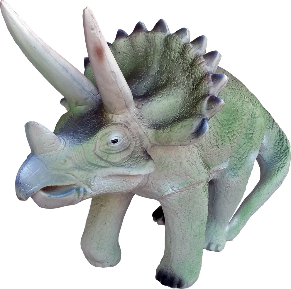 Eleven Triceratops