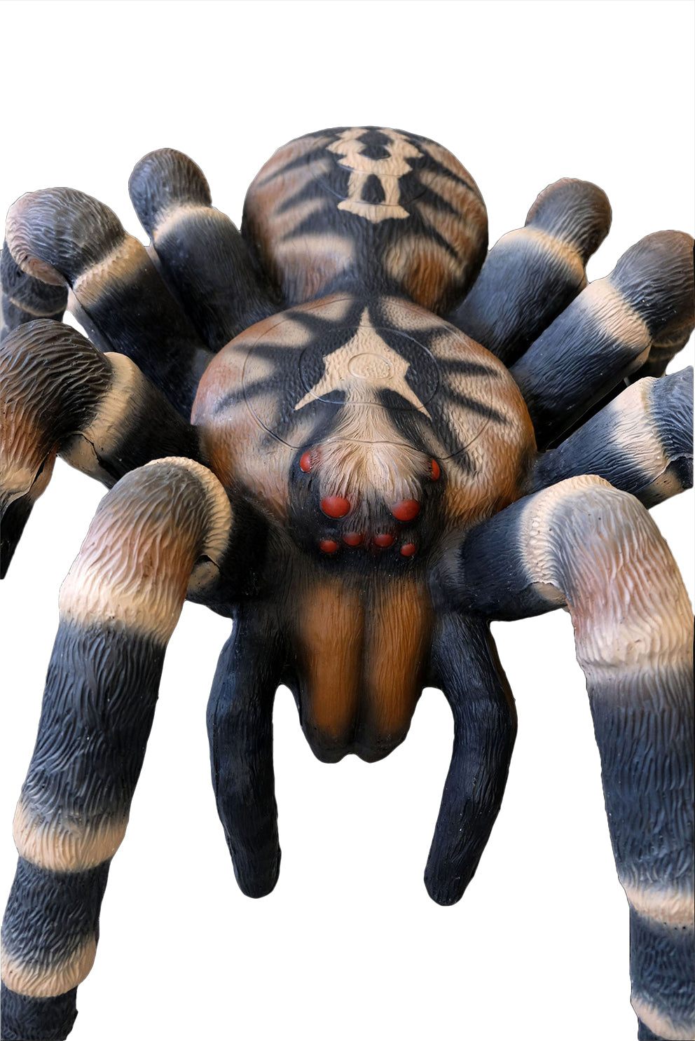 Leitold, Vogelspinne