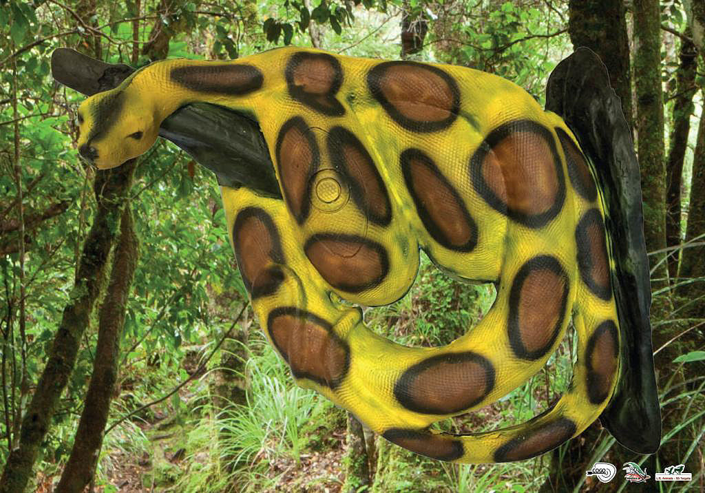 Scheibenauflage Leitold, 2D-Königsboa hell