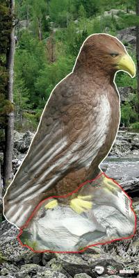 Scheibenauflage Leitold, 2D-Steinadler sitzend