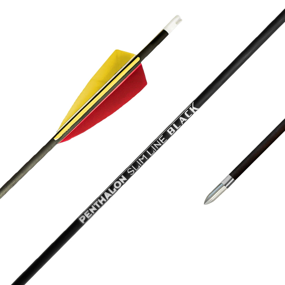 Fertigpfeil Penthalon SL Black Federn