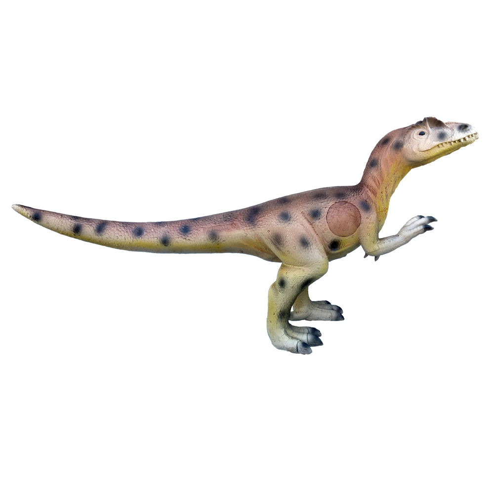 Eleven Allosaurus