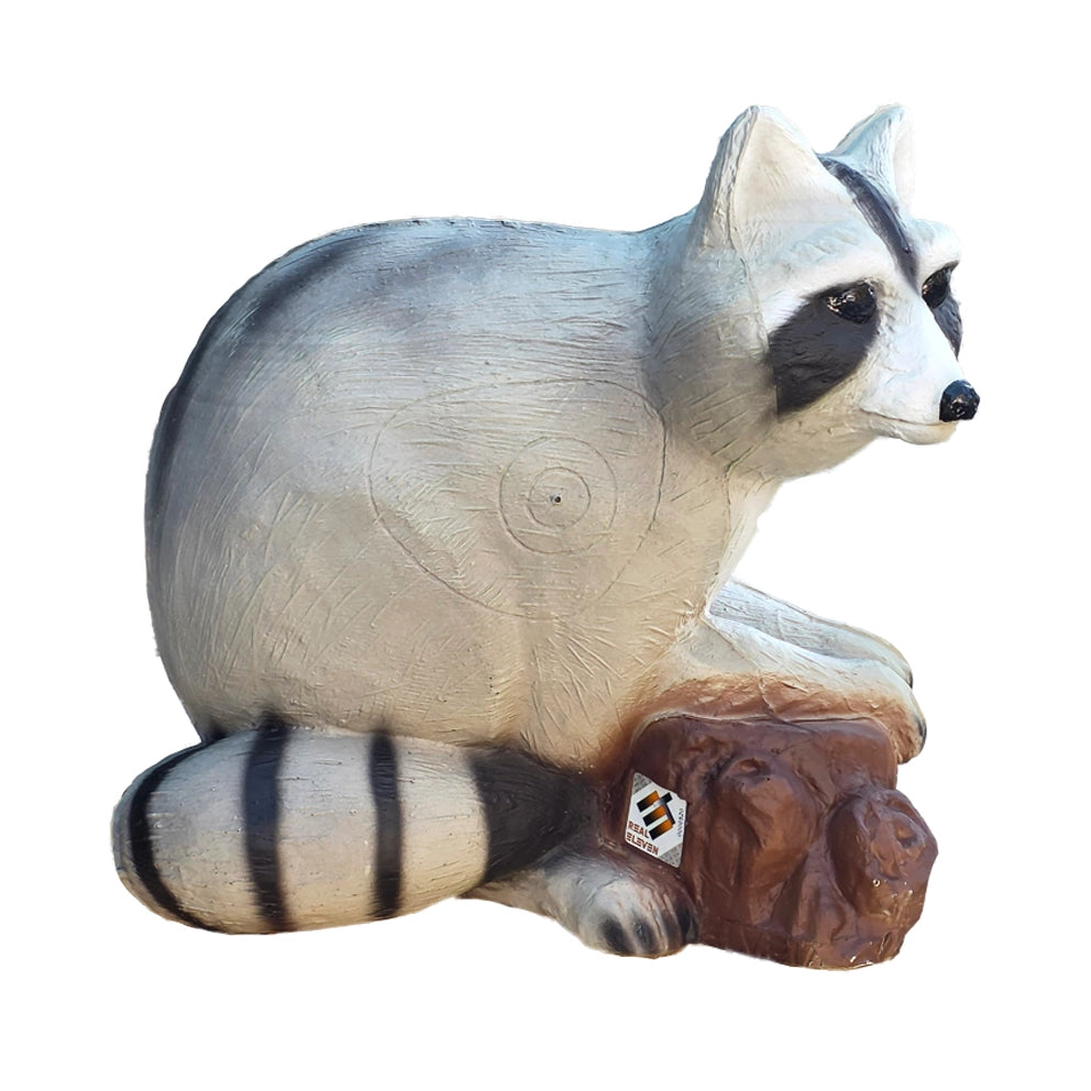 Eleven Raccoon