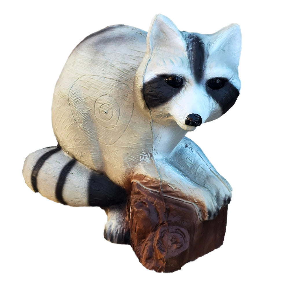 Eleven Raccoon