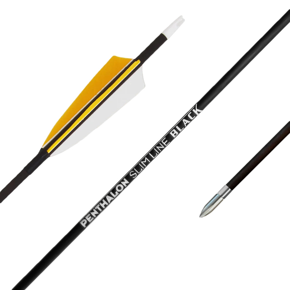 Fertigpfeil Penthalon SL Black Federn