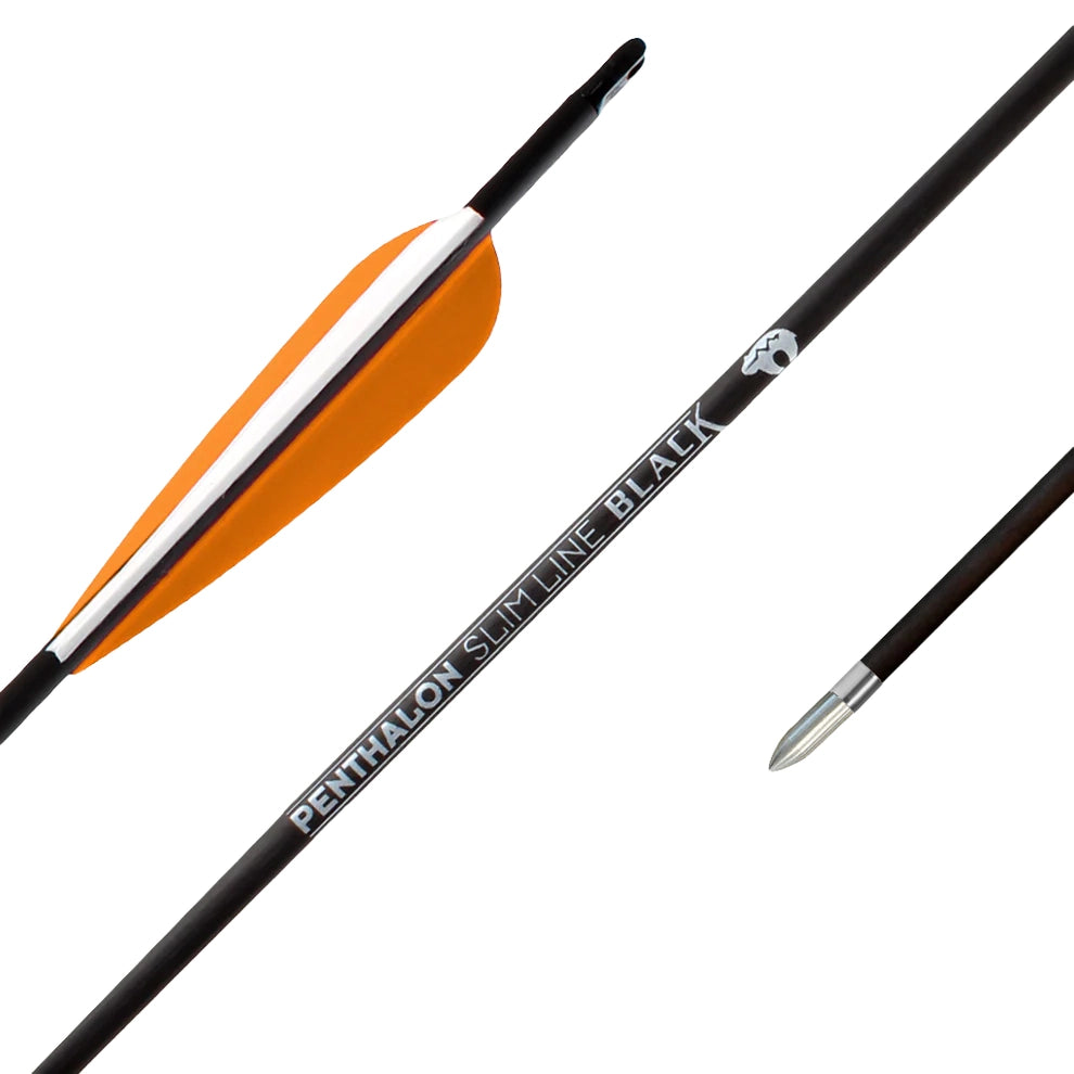 Fertigpfeil Penthalon SL Black Fletches