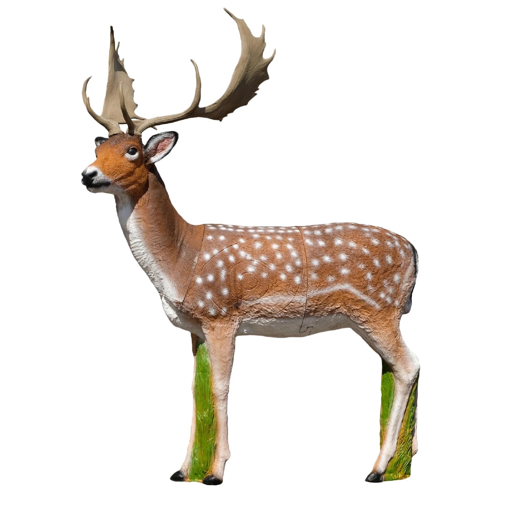 SRT Damhirsch