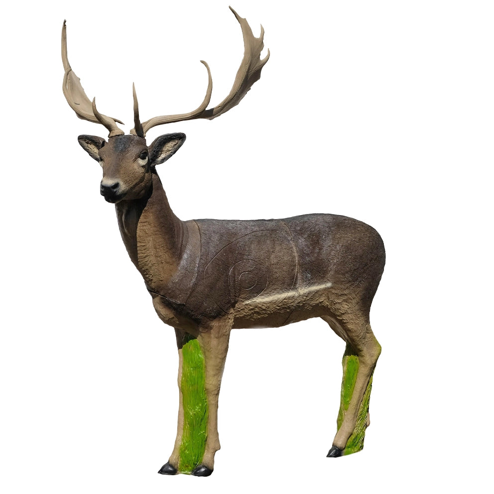 SRT Damhirsch melanche